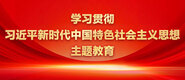 欧美逼逼学习贯彻习近平新时代中国特色社会主义思想主题教育_fororder_ad-371X160(2)